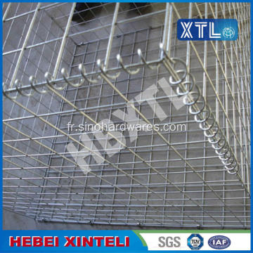 Barrière de maille grillage Gabion boîte